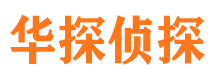 新田寻人公司